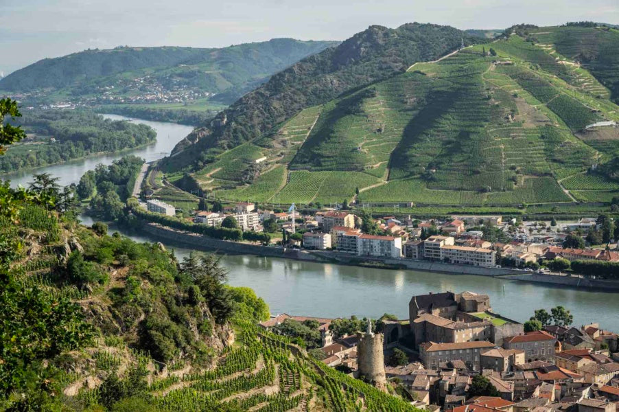 Côtes du Rhône